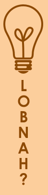 LOBNAH - work out the acronym